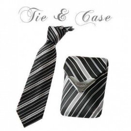 Tie & Case "Silver Shadow Stripes"