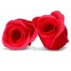Bath Roses "Red"